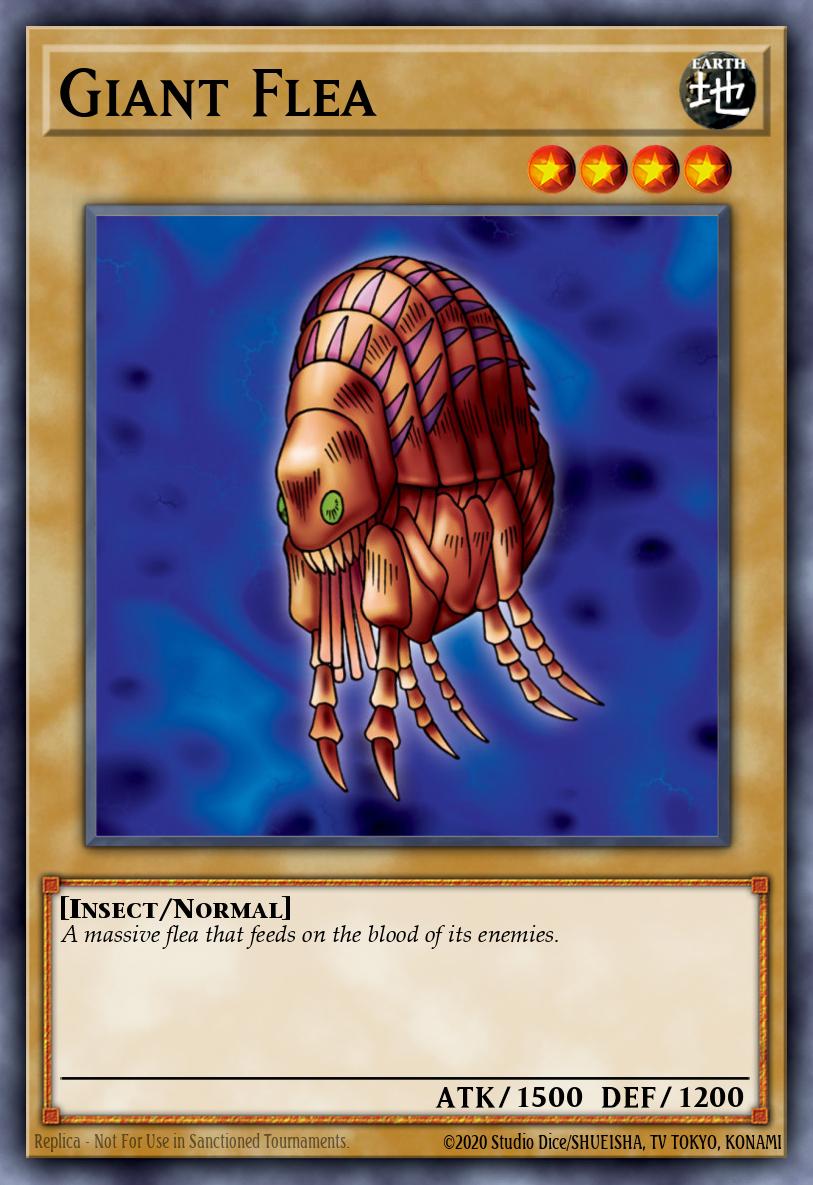 Puce Géante