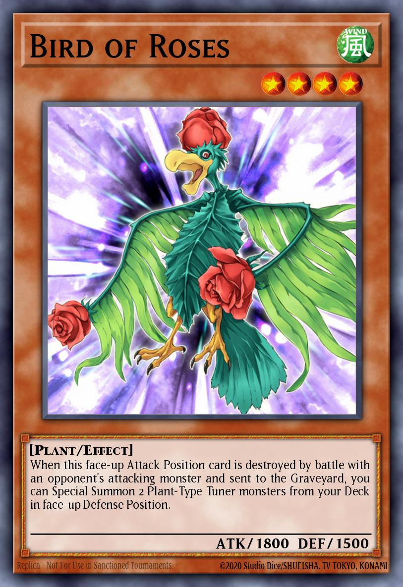 Oiseau de Rose