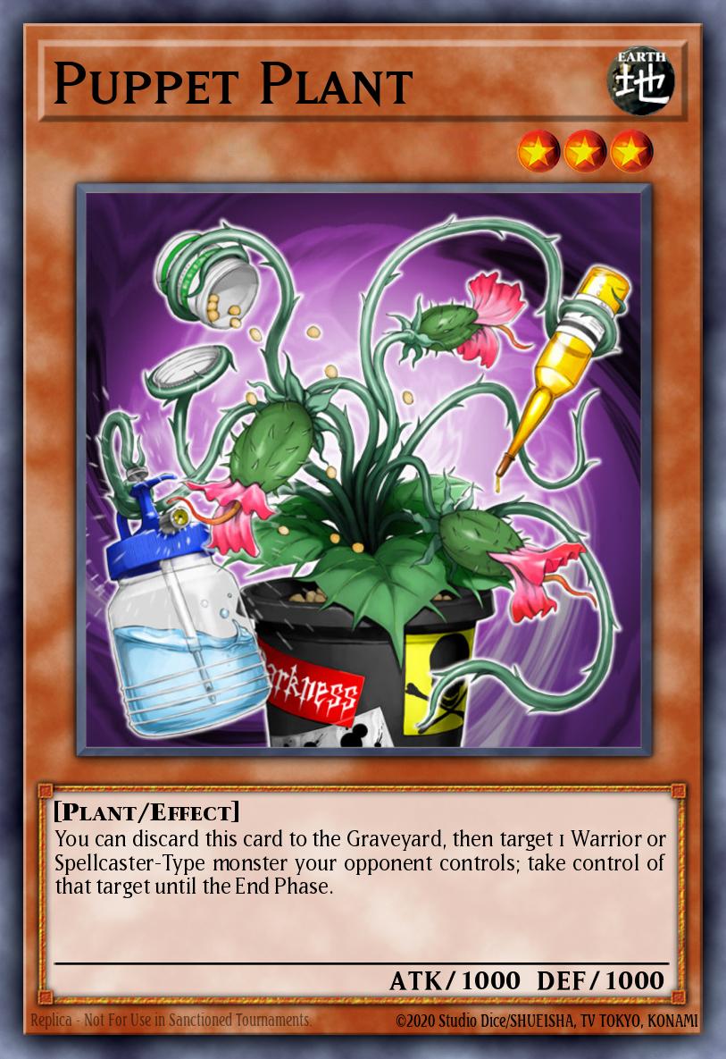 Plante Fantoche